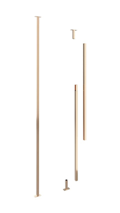 GOLDEN BRONZE