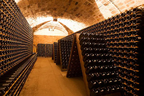 How to Build a Wine Cellar in the Basement: Step-by-Step Guide for