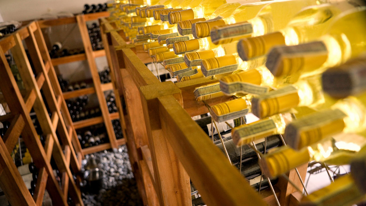 Wine racks 101: Everything You Need To Know Before Buying