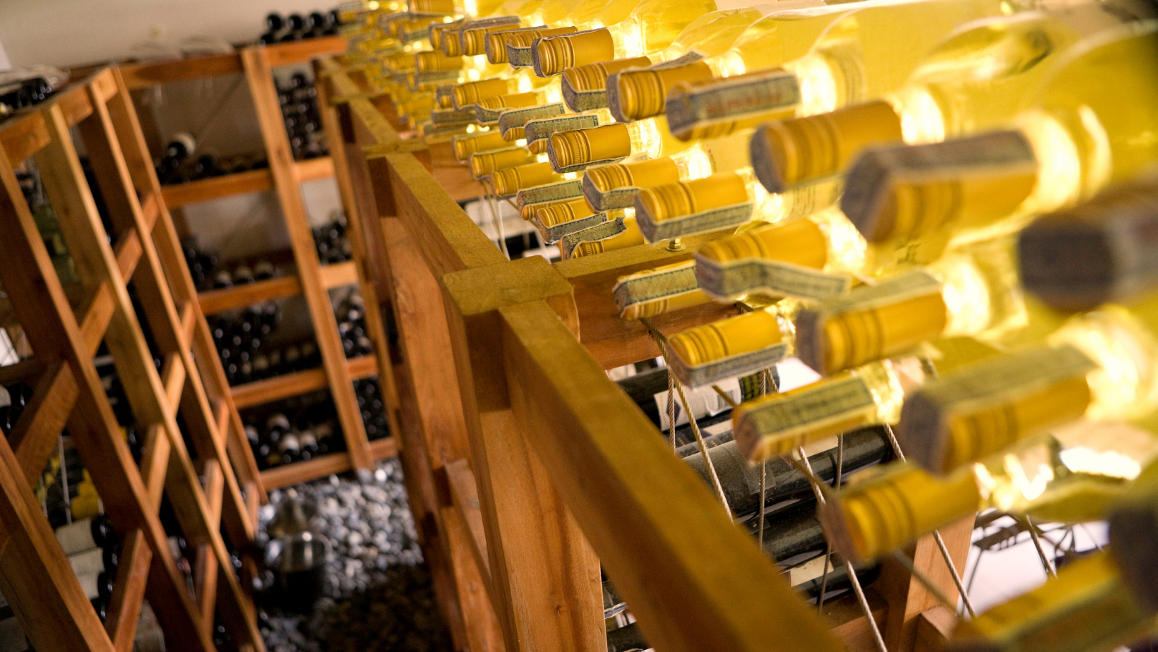 Wine racks 101: Everything You Need To Know Before Buying