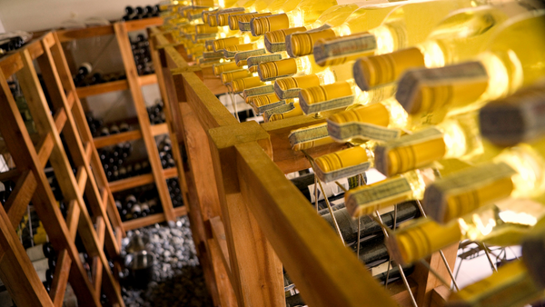 Wine racks 101: Everything You Need To Know Before Buying