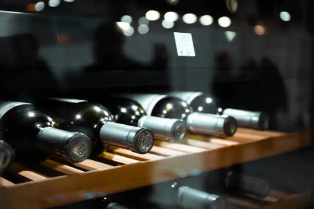 Perfect Wine Cooler Temperature: Detailed Guide for Every Wine Type