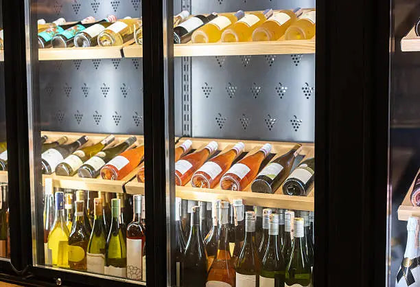 Wine Cooler vs. Standard Refrigerator: 4 Key Differences That Impact Taste and Shelf Life